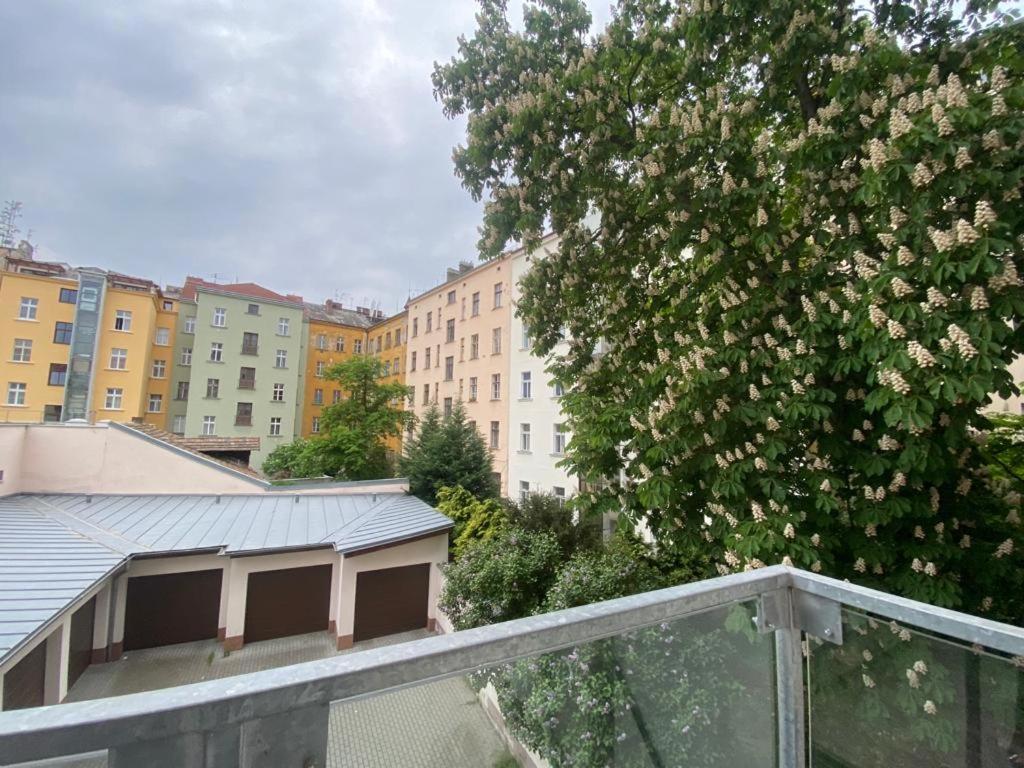 公寓 Designed Next To Vaclav Square With Terrace And Private Garage *